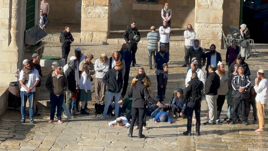 مستوطنون صهاينة وفي خطوات استفزازية يؤدون الطقوس التلمودية عبر السجود الملحمي في باحات المسجد الاقصى